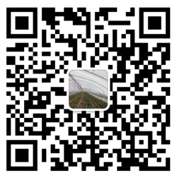 上海展臺(tái)搭建公司_上海展臺(tái)設(shè)計(jì)公司_上海展會(huì)展覽搭建設(shè)計(jì)公司_上海東雷展覽設(shè)計(jì)
